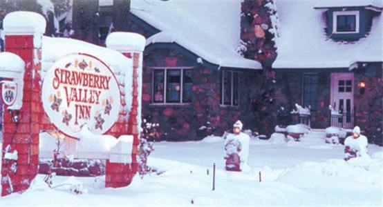 מאונט שסטה Strawberry Valley Inn מראה חיצוני תמונה