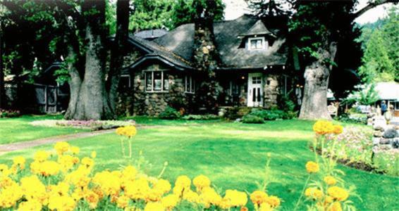מאונט שסטה Strawberry Valley Inn מראה חיצוני תמונה